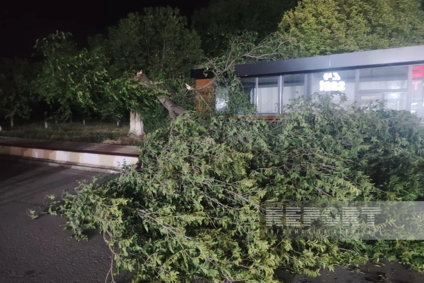 Cильный ветер в Нахчыване вызвал ряд последствий