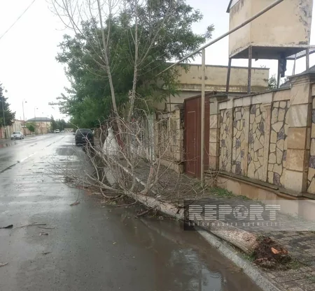Biləsuvarda leysan və külək bir sıra fəsadlar törədib
