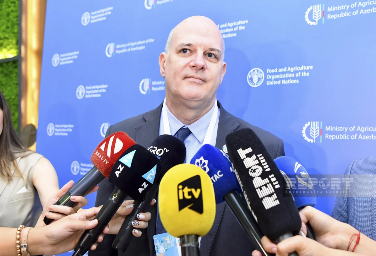 FAO-nun İtaliya ofisinin rəsmisi: COP29 müxtəlif tərəfləri birləşdirəcək