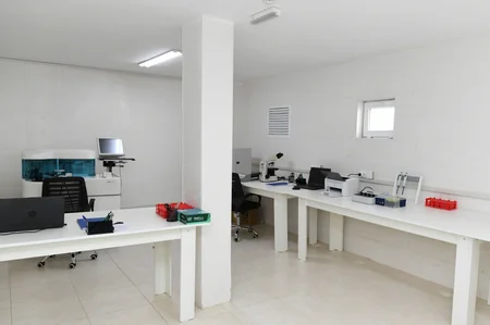 Prezident və birinci xanım Bakıda modul tipli hospitalın açılışında iştirak ediblər - YENİLƏNİB