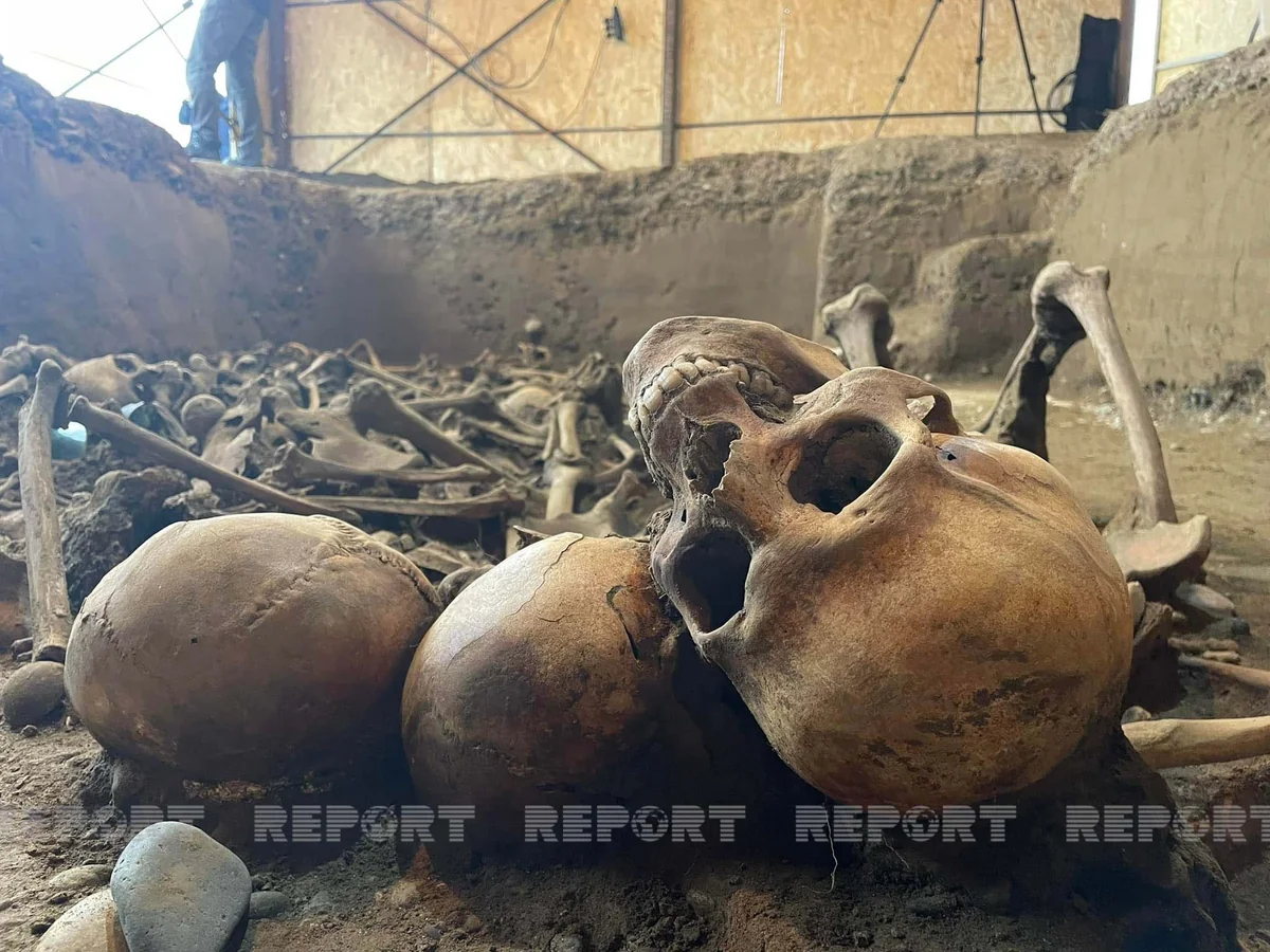 Remains of Azerbaijani victim of repression found in mass grave in Georgia