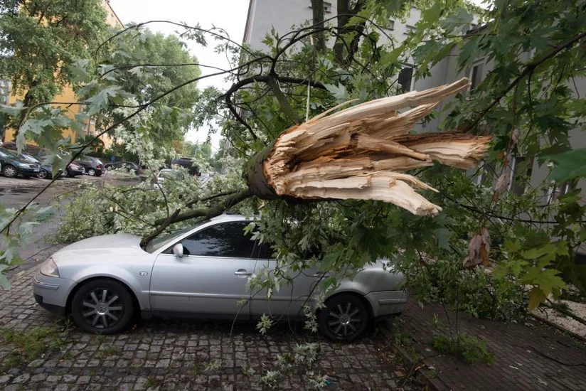 Два человека погибли из-за урагана в Польше