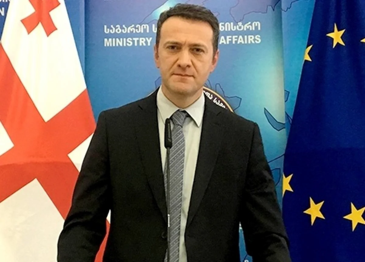 Georgian Foreign Ministry: Commission on boundary delimitation with Azerbaijan to resume its activity
