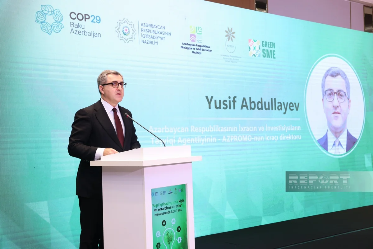 ‘Finance, Investment and Trade Day’ to be organized within COP29
