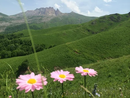 ETSN: Bu il Milli parklarda rekord sayda ziyarətçi qəbul etmişik
