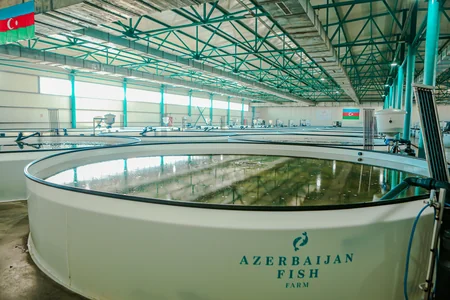 Azerbaijan Fish Farm LLC  вecomes world’s first BAP-сertified сaviar farm