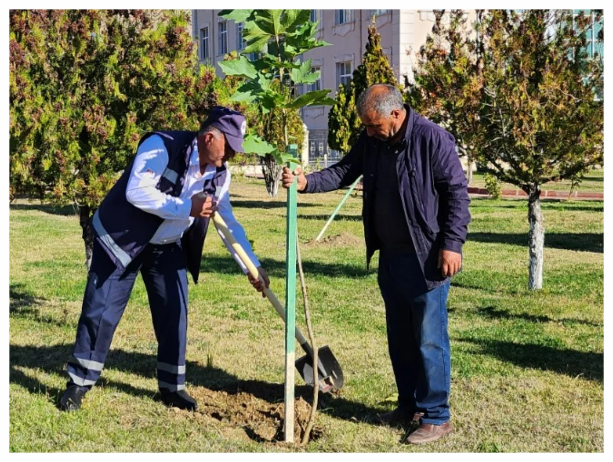 Naxçıvanda ilk dəfə şəhidlərin adına bağ salınıb