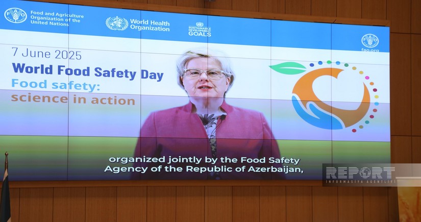 FAO: Hər il dünyada aqrar bitkilərin 40 %-i zərərvericilər və xəstəliklər səbəbindən itirilir