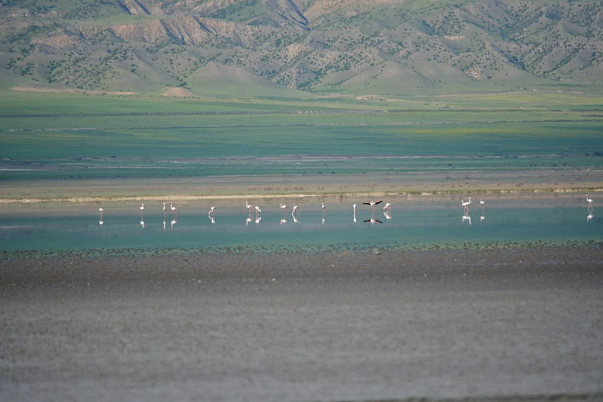 МЭПР: Озеро Аджинохур высыхает