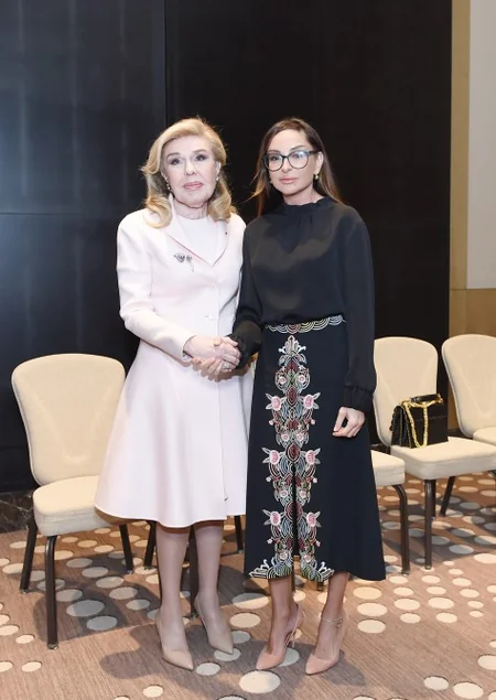 Первый вице-президент Мехрибан Алиева провела ряд встреч