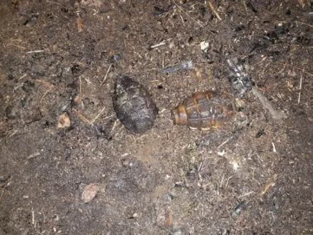 Qaradağda mina hadisəsi baş verib, 1 nəfər xəsarət alıb