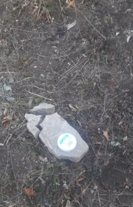 Şabranda meşəni bal yığmaq üçün yandırıblar - RƏSMİ