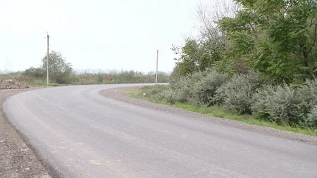 Saatlı rayonunda 19 yaşayış məntəqəsini birləşdirən yol inşa edilir