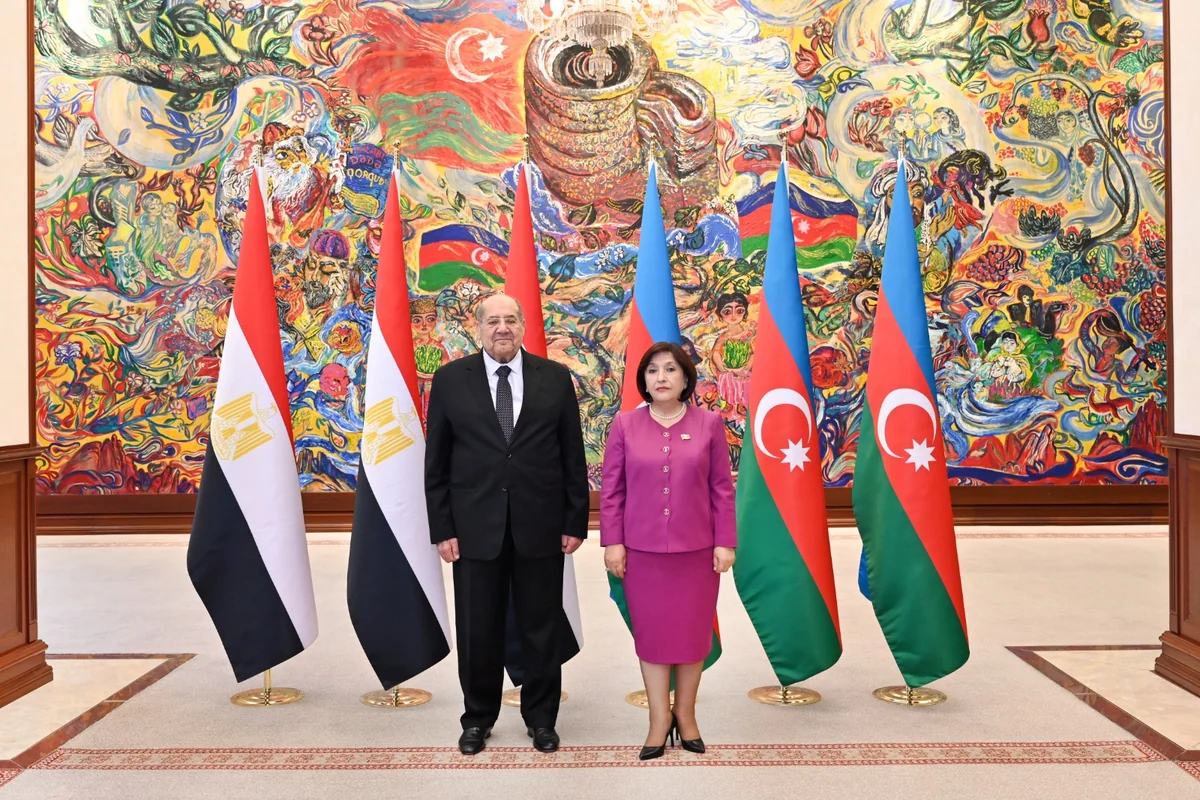 Sahibə Qafarova Misir Senatının sədri ilə görüşüb