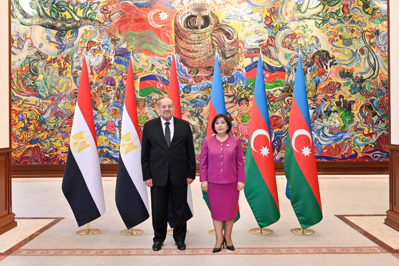 Sahibə Qafarova Misir Senatının sədri ilə görüşüb