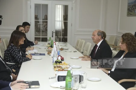 Şimali Kipr Prezidenti Beynəlxalq Türk Mədəniyyəti və İrsi Fondunda olub