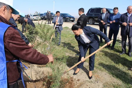 Hacıqabulda Heydər Əliyevin 100 illiyinə həsr olunmuş ağacəkmə aksiyası keçirilib