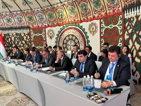 Azərbaycan TDT ölkələrinin Kənd Təsərrüfatı Nazirlərinin IV Toplantısına qatılıb