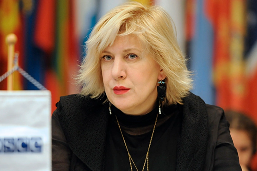 Комиссар СЕ в ответ армянскому депутату: моя миссия не заключается в контролировании государственных границ