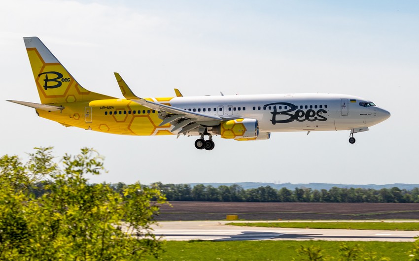 Bees Airline eyeing regular Odesa-Ganja flights