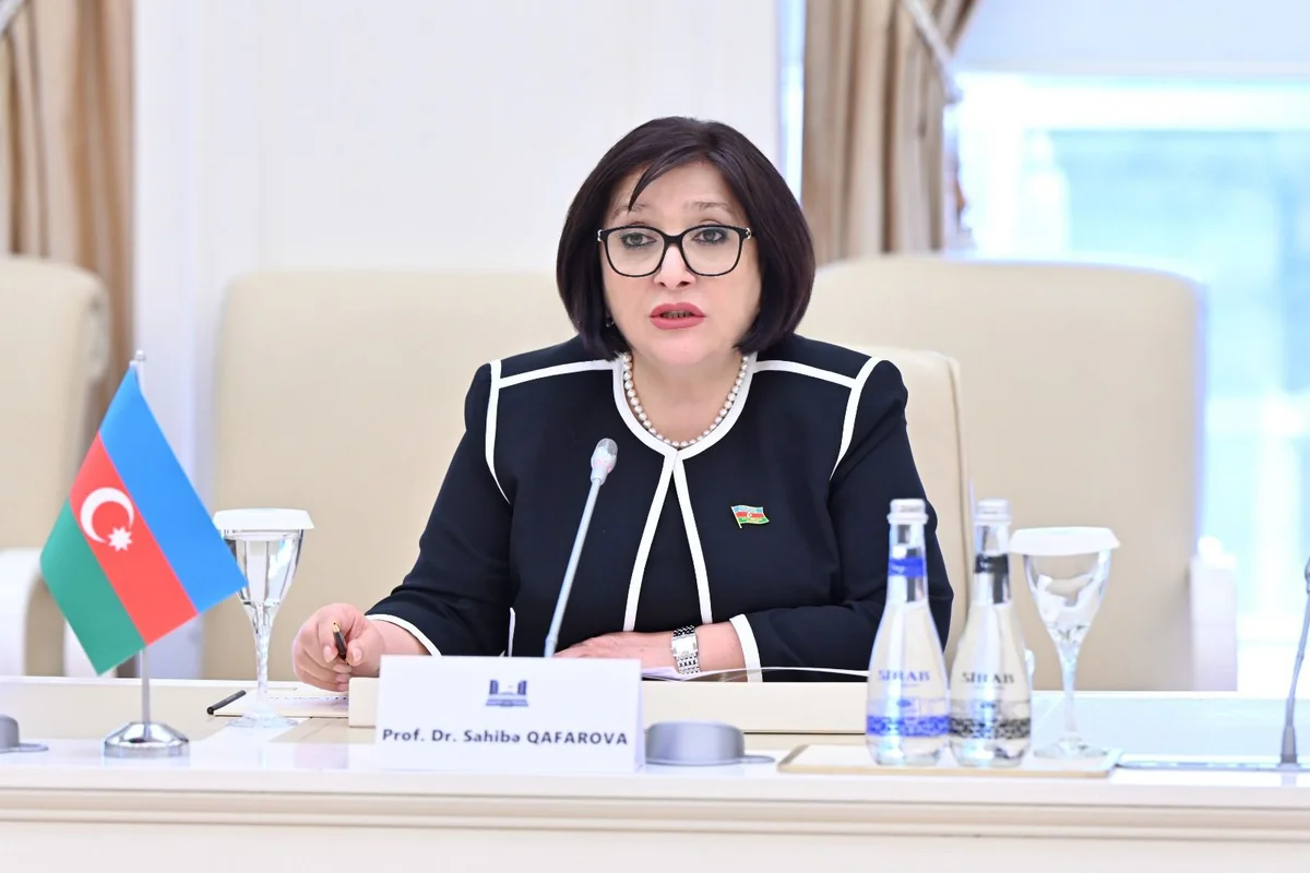 Sahibə Qafarova: Hazırda Cənubi Qafqaz regionunda tamamilə yeni şərait yaranıb