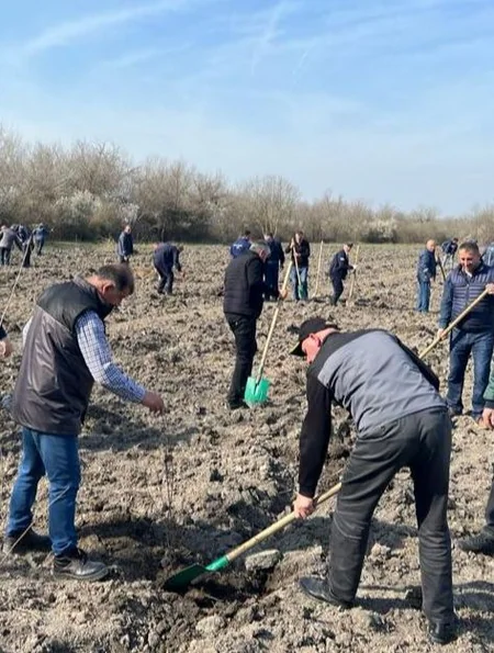 Yaz mövsümündə meşə fondu torpaqlarında 800 mindən çox ağac əkilib