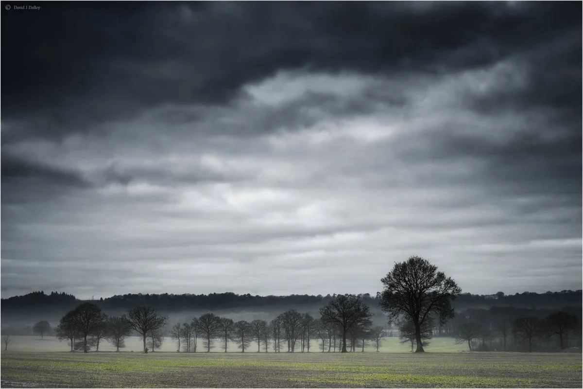 Havanın temperaturu 5-8 dərəcə aşağı enəcək - XƏBƏRDARLIQ