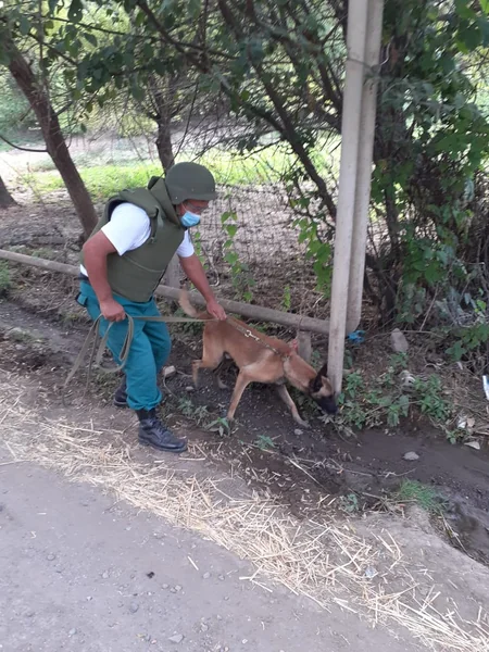 Göygöldə əl qumbarası aşkar edildi