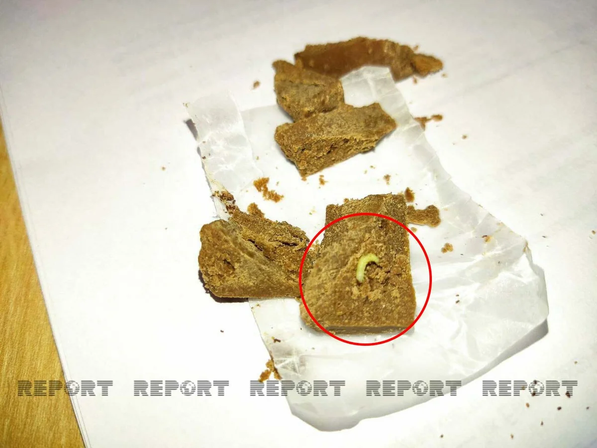 Bakıda şokoladın içərisindən qurd çıxıb