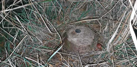 Ağcabədidə tank əleyhinə minanın partladıcısı aşkarlanıb - FOTO