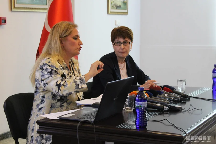 Посол: Операцией Источник мира Турция отстаивает свою безопасность