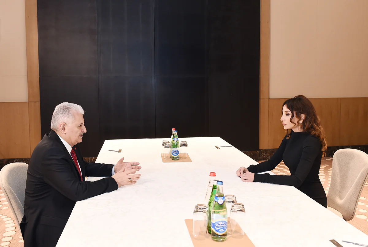 First Vice-President Mehriban Aliyeva meets with Turkish Prime Minister