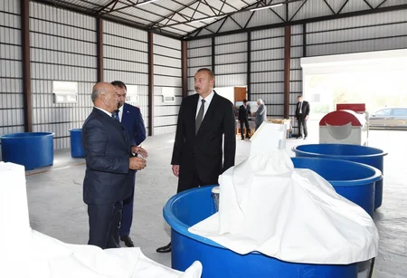 Prezident İlham Əliyev Lənkəranda çəltik zavodunun açılışını edib