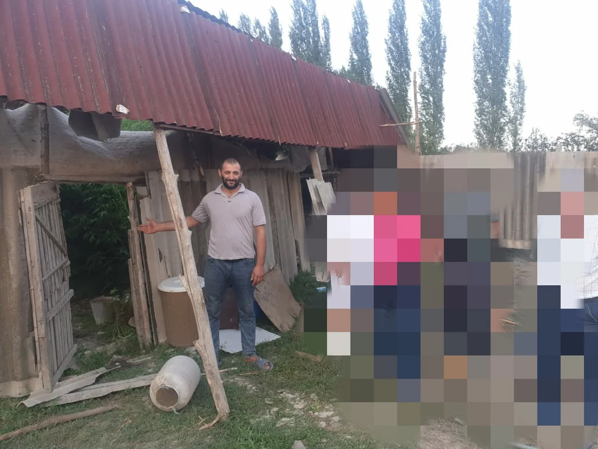 Göyçayda narkotik becərən şəxs saxlanılıb