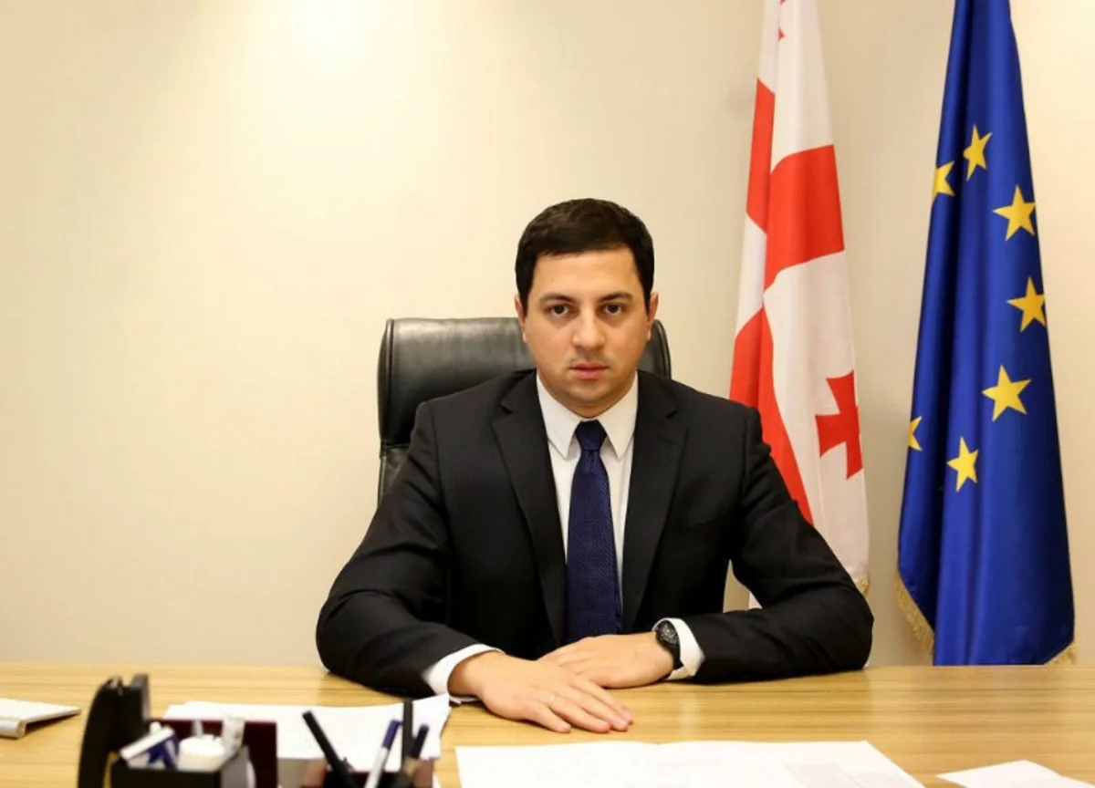 Gürcüstanın Seçki Məcəlləsinə dəyişikliklər ediləcək