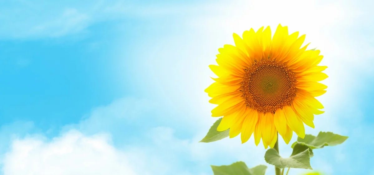 Azerbaijan weather forecast for June 7