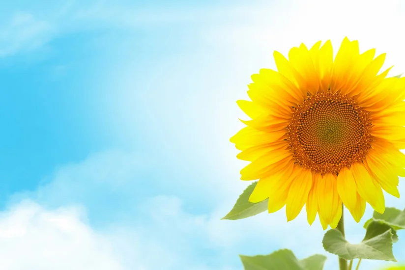 Azerbaijan weather forecast for June 7