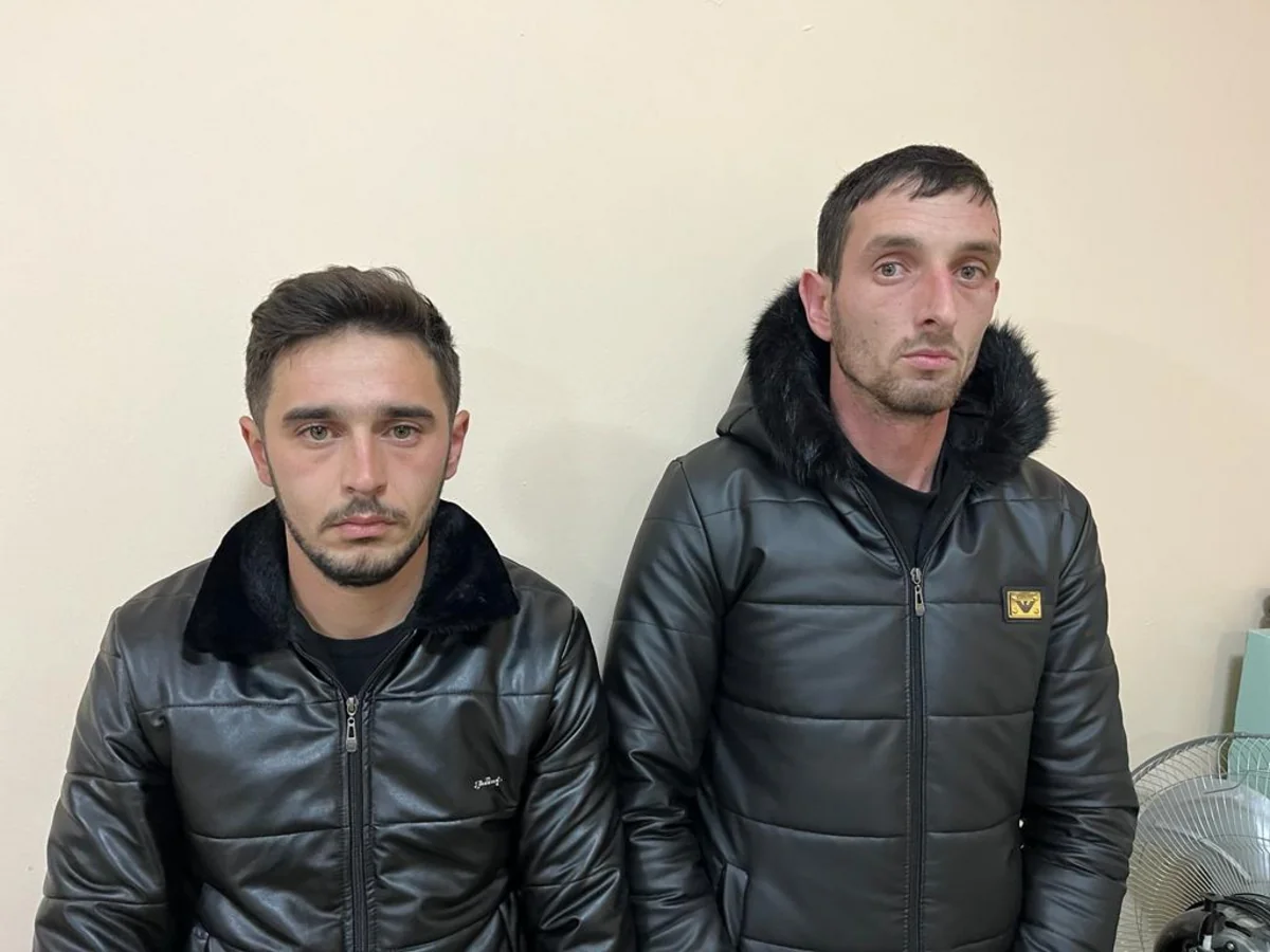 Qubada əmisinin fermasından mal-qara oğurlayan şəxs saxlanılıb