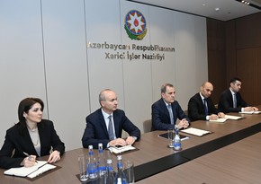 Azerbaijani FM, IAEA Director General mull dangers posed by Metsamor NPP