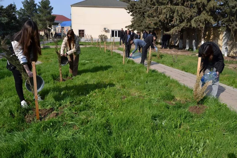 “Heydər Əliyev İli” çərçivəsində Biləsuvarda ağacəkmə aksiyası keçirilib