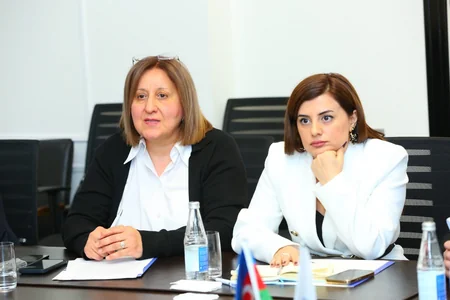 В рамках подготовки к COP29 состоялась встреча с представителями НПО и экспертами