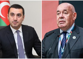 Foreign Ministry comments on remarks by Mikhail Shvydkoy regarding cancellation of Russian cultural events in Azerbaijan