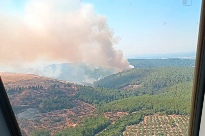 Türkiyədə meşə yanğını zamanı üç nəfər ölüb 