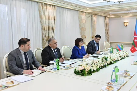 Sahiba Gafarova mulls global, regional issues with Hulusi Akar