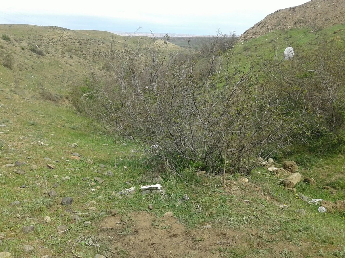 Tovuzda əl qumbarası aşkar edilib