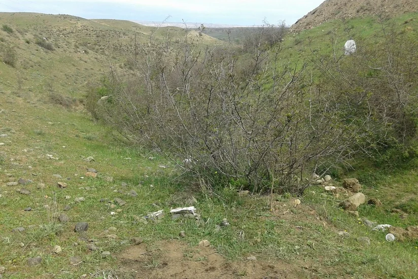 Tovuzda əl qumbarası aşkar edilib