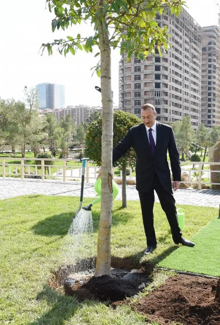 Azərbaycan Prezidenti Xətai rayonunda yeni yaradılan park kompleksinin açılışında iştirak edib
