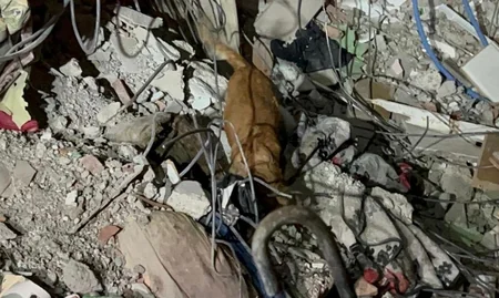 Azerbaijani rescuers saved 51 people from rubble in Turkiye