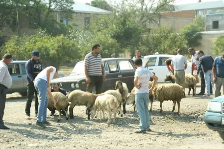 Gəncədə bayram yarmarkası təşkil olunub