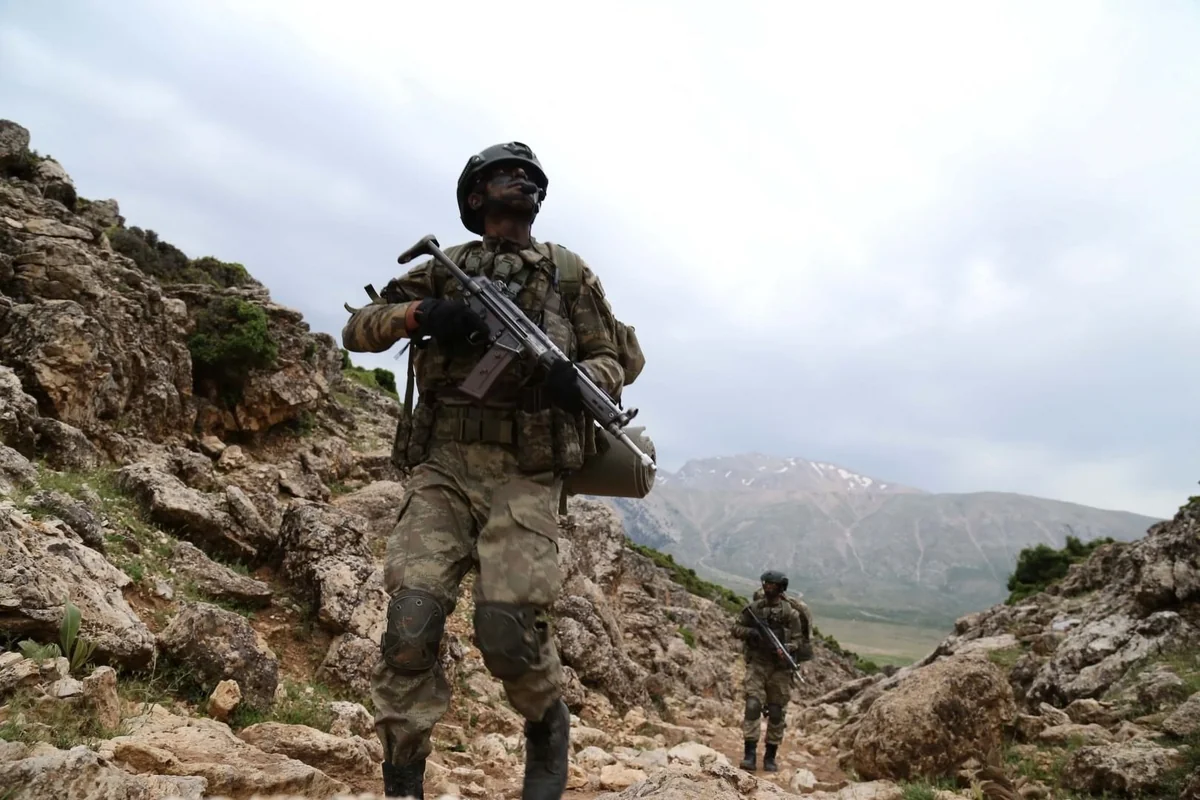 Two PKK terrorists surrender in Türkiye